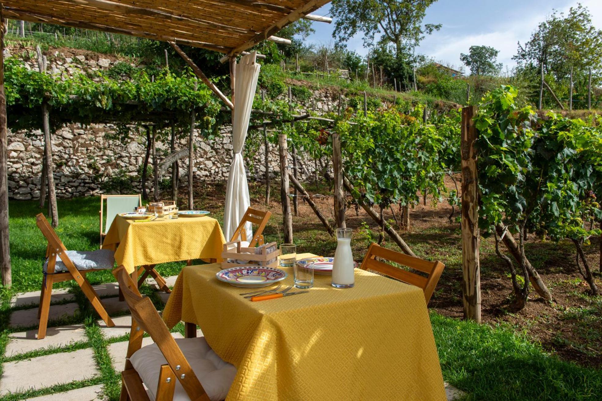 Bed and Breakfast Il Vigneto Di Nonno Pietro Аджерола Екстер'єр фото