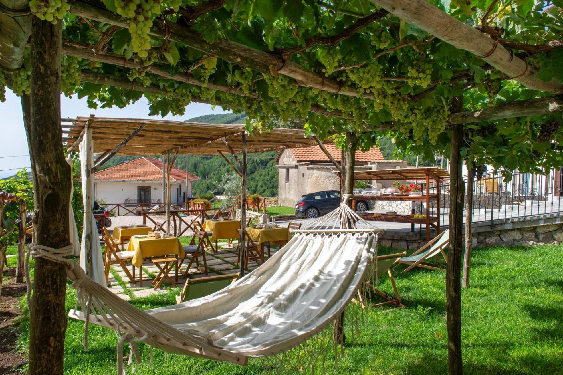 Bed and Breakfast Il Vigneto Di Nonno Pietro Аджерола Екстер'єр фото