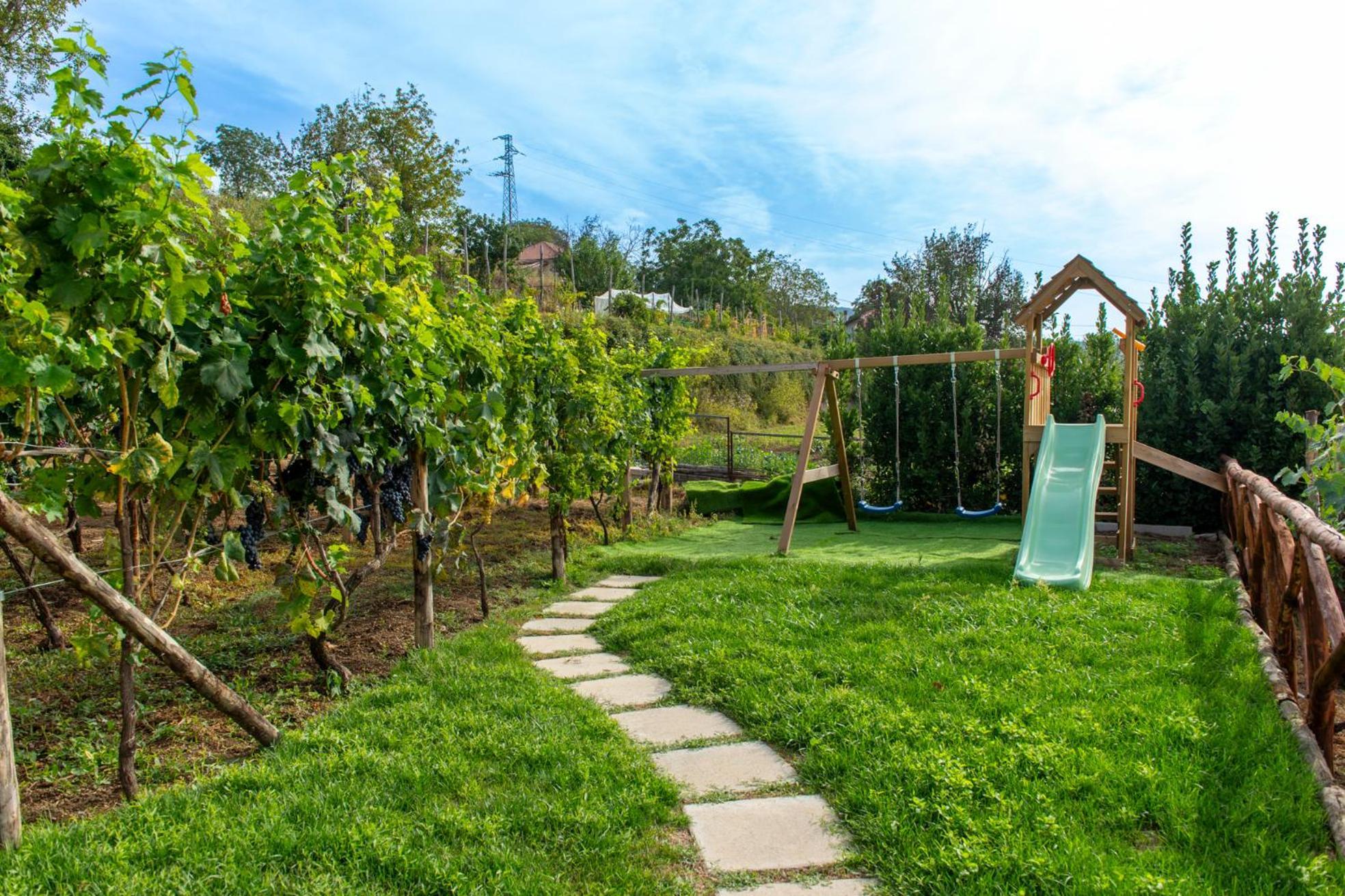 Bed and Breakfast Il Vigneto Di Nonno Pietro Аджерола Екстер'єр фото